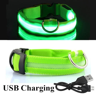 Collier Lumineux LED USB pour Chien