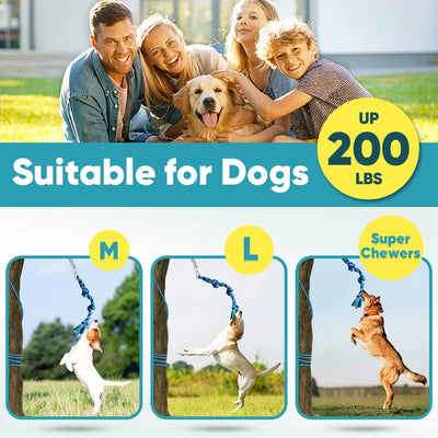 Spring Pole Chien Ressort Inox Corde 5 m ou 10 m