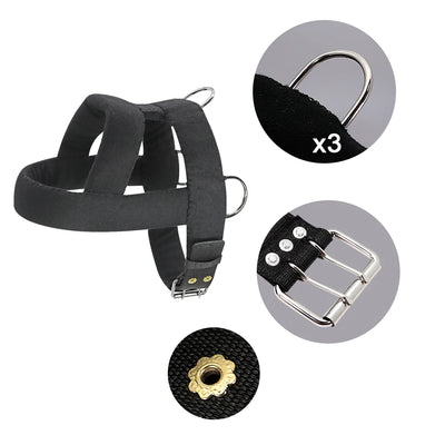 Harnais de Traction Pitbull Plastron Rembourré Corde Élastique