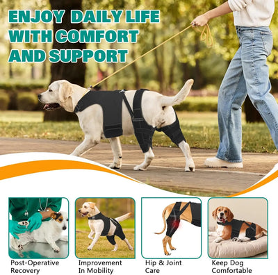 Attelle Chien Double Jambe Anti-Glissement Pattes Arrière