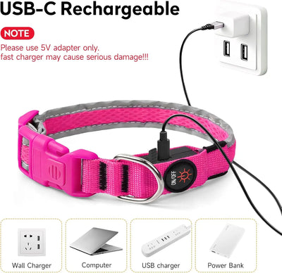 Collier LED Rechargeable Nylon Doux pour Chien