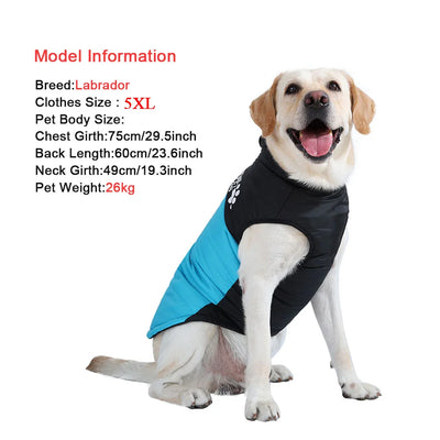 Manteau Imperméable Rembourré Grand Chien Golden Retriever