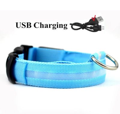 Collier LED Haute Visibilité Rechargeable Chien
