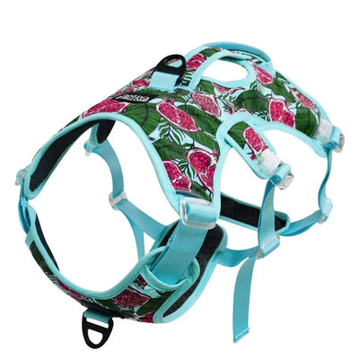 https://cdn.shopify.com/s/files/1/0489/2898/1148/files/S40d35436ce594dd998a8549cdf13edd9M.webp?v=1742985849