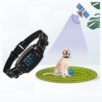 Clôture GPS Anti-Fugue OLED Gros Chien
