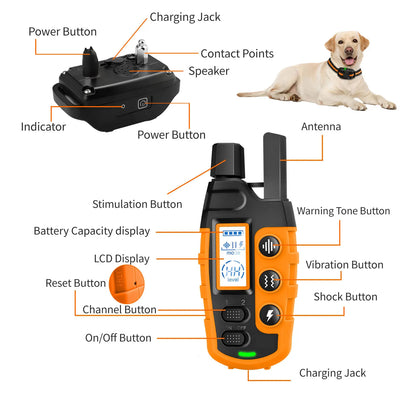 Collier Électrique de Dressage Télécommande 1000 m Rechargeable