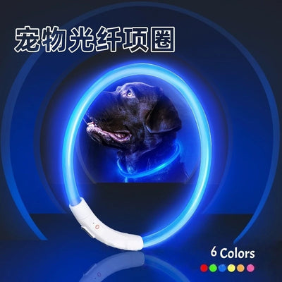 Collier Lumineux LED Étanche 3 Modes Rechargeable Chien
