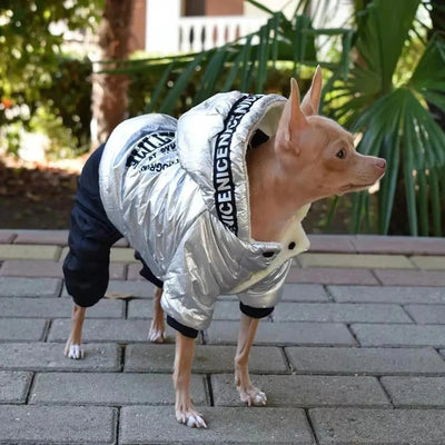 Manteau Imperméable Chien Combinaison Argentée Chihuahua
