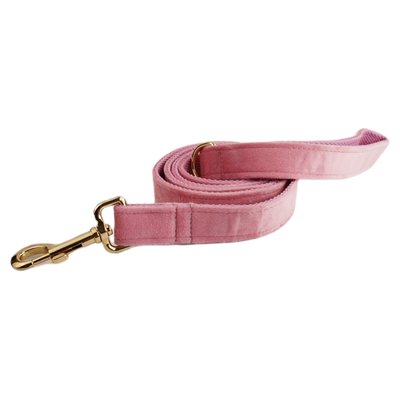 Collier et Laisse Velours Rose Harnais Assorti Chien
