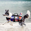 Harnais flottant pour chien