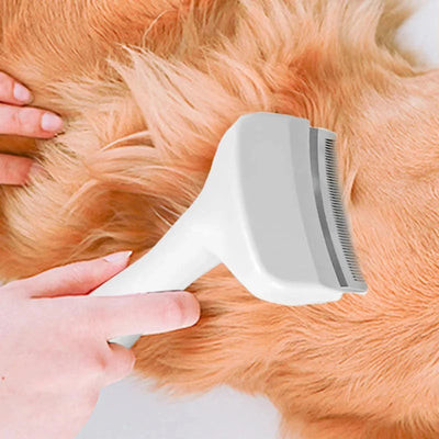 Brosse Démêlante Toilettage pour Chien