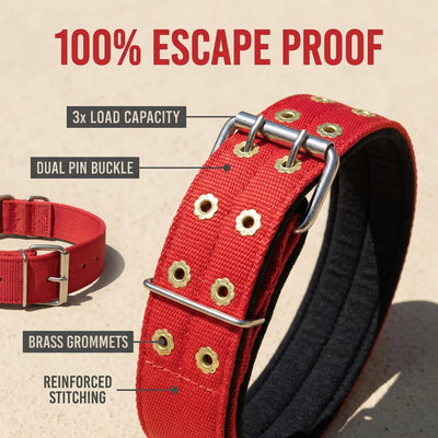 Collier Anti-Évasion Double Boucle Nylon Gros Chien