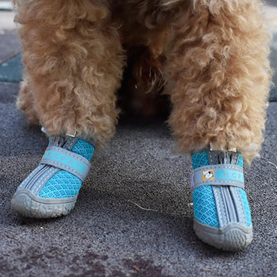 Chaussures Antidérapantes Gros Chien Hiver