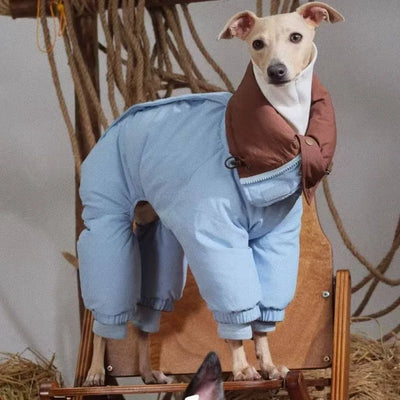 Manteau d'Hiver Réversible Lévrier Whippet