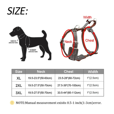Harnais Grande Taille Poignée de Contrôle Labrador Pitbull