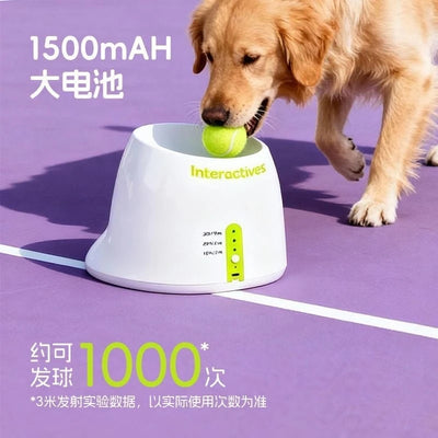 Lanceur de Balle Automatique Chien Mini Rechargeable USB-C