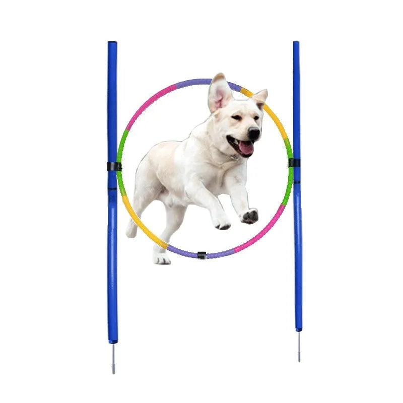 Kit d'Agility Cerceau de Saut Chien 55 cm Démontable