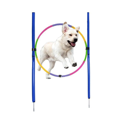 Kit d'Agility Cerceau de Saut Chien 55 cm Démontable
