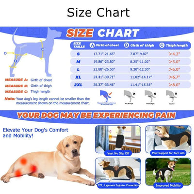 Attelle Genouillère Chien Réglable Bandes Réfléchissantes