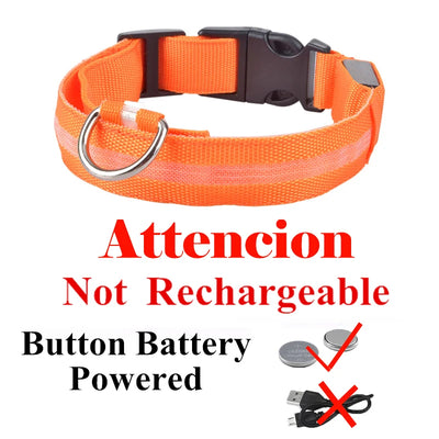Collier Lumineux LED USB pour Chien