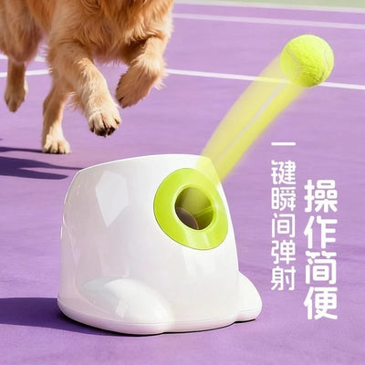 Lanceur de Balle Automatique Chien Mini Rechargeable USB-C