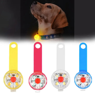 Pendentif Lumineux LED Rechargeable USB pour Collier de Chien