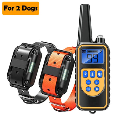 Collier Dressage LCD 800m Étanche Gros Chien