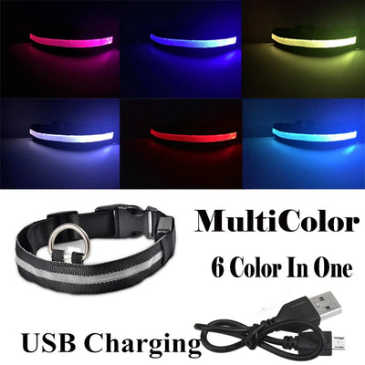 Collier Lumineux LED USB pour Chien