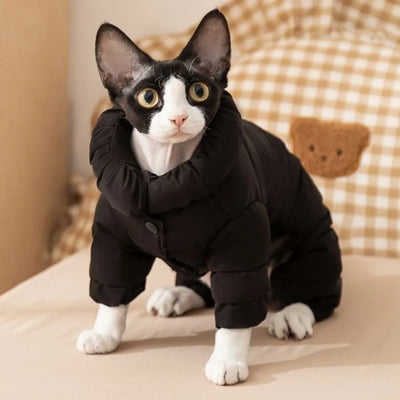 Combinaison Imperméable Matelassée Petit Moyen Chien