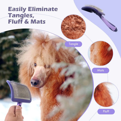 Brosse de Toilettage pour Caniche et Chien Poils Bouclés