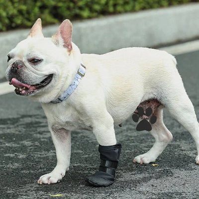 Botte Récupération Pattes Gros Chien Imperméable