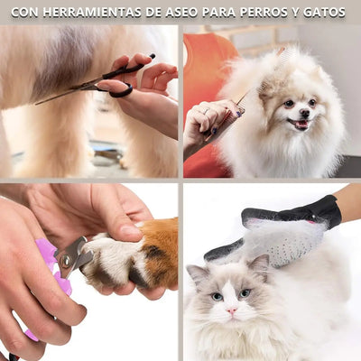 Tondeuse pour Chien Rechargeable Kit 4 Sabots et Accessoires