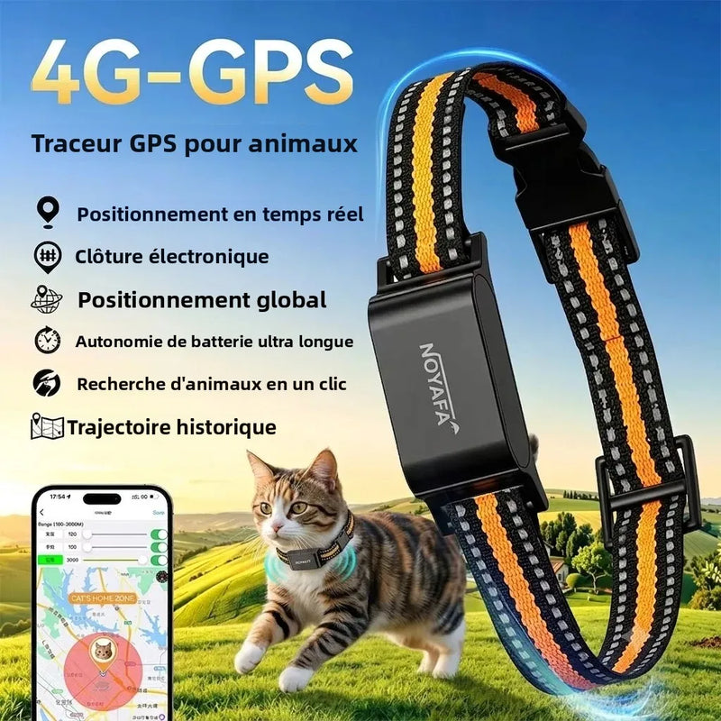 Collier GPS 4G Chien Clôture Virtuelle jusqu'à 54 kg
