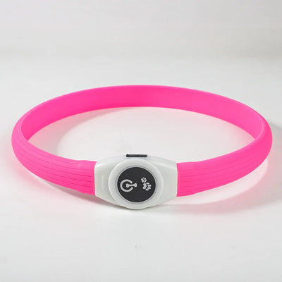 Collier LED Étanche Grand Chien