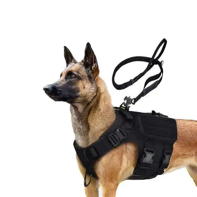 Harnais Tactique Molle Noir Berger Allemand Boucle Métal