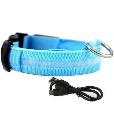 Collier LED Veilleuse Rechargeable pour Chien