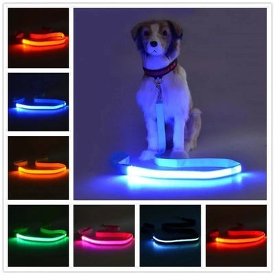 Laisse LED Corde Lumineuse pour Chien