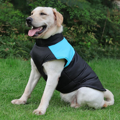 Manteau Doudoune Chien Coupe-Vent Anneau en D Labrador