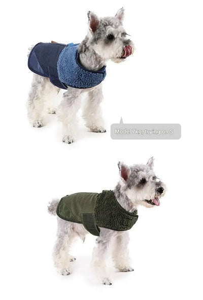 Manteau Chien Sherpa Lévrier Whippet Coupe-Vent