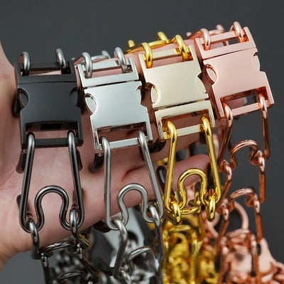 Collier Anti-Traction à Picots Acier Inoxydable Chien Tireur