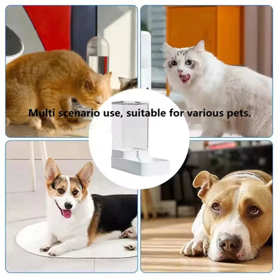 Distributeur Croquettes Chien Gravité Nourriture et Eau Sans Prise