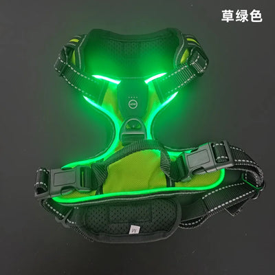 Harnais Lumineux LED Rechargeable Grand Chien