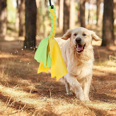 Flirt Pole Télescopique pour Chien avec Lanières en Tissu