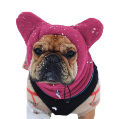 Cagoule Chien Multicolore Cache-Oreilles Hiver
