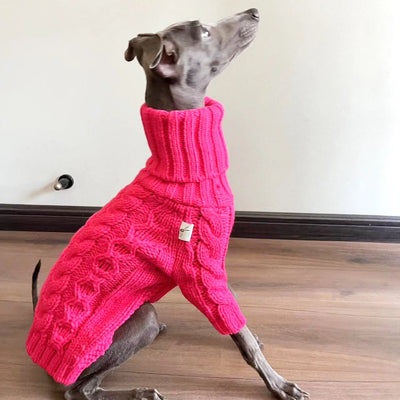 Pull Col Roulé Chaud pour Lévrier Italien Whippet