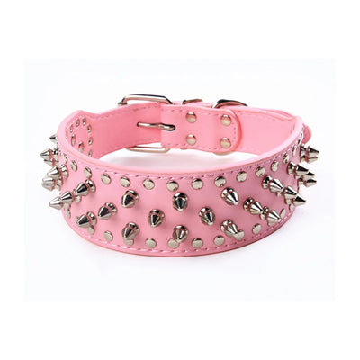 Collier Cuir Clouté Pitbull Mastiff