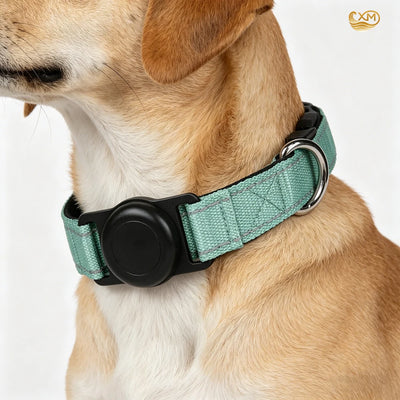 Collier Porte-AirTag Rembourré pour Chien