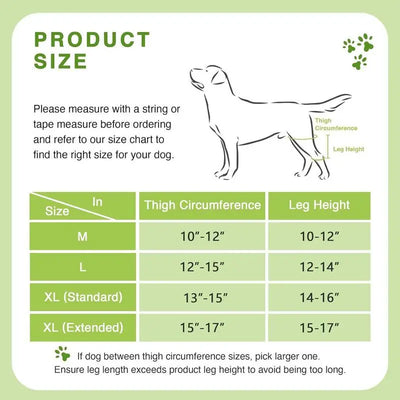 Attelle pour Chien Genouillère Double Pattes Arrière Réglable