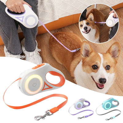 Laisse Rétractable LED pour Chien