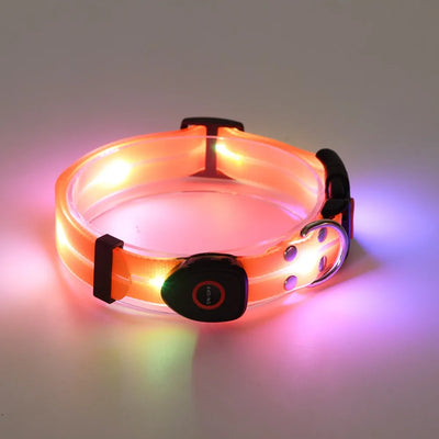 Collier et Laisse LED Lumineux pour Chien